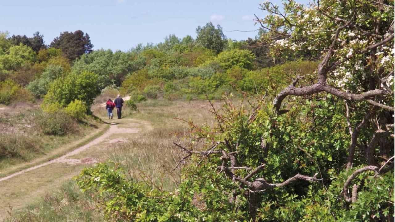 Kust-, Fiets-, Wandel-, Rust- & Cultuurlocatie Villa Castricum Luaran gambar